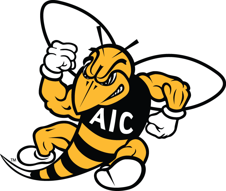 AIC Yellow Jackets 2009-Pres Secondary Logo vinyl decal